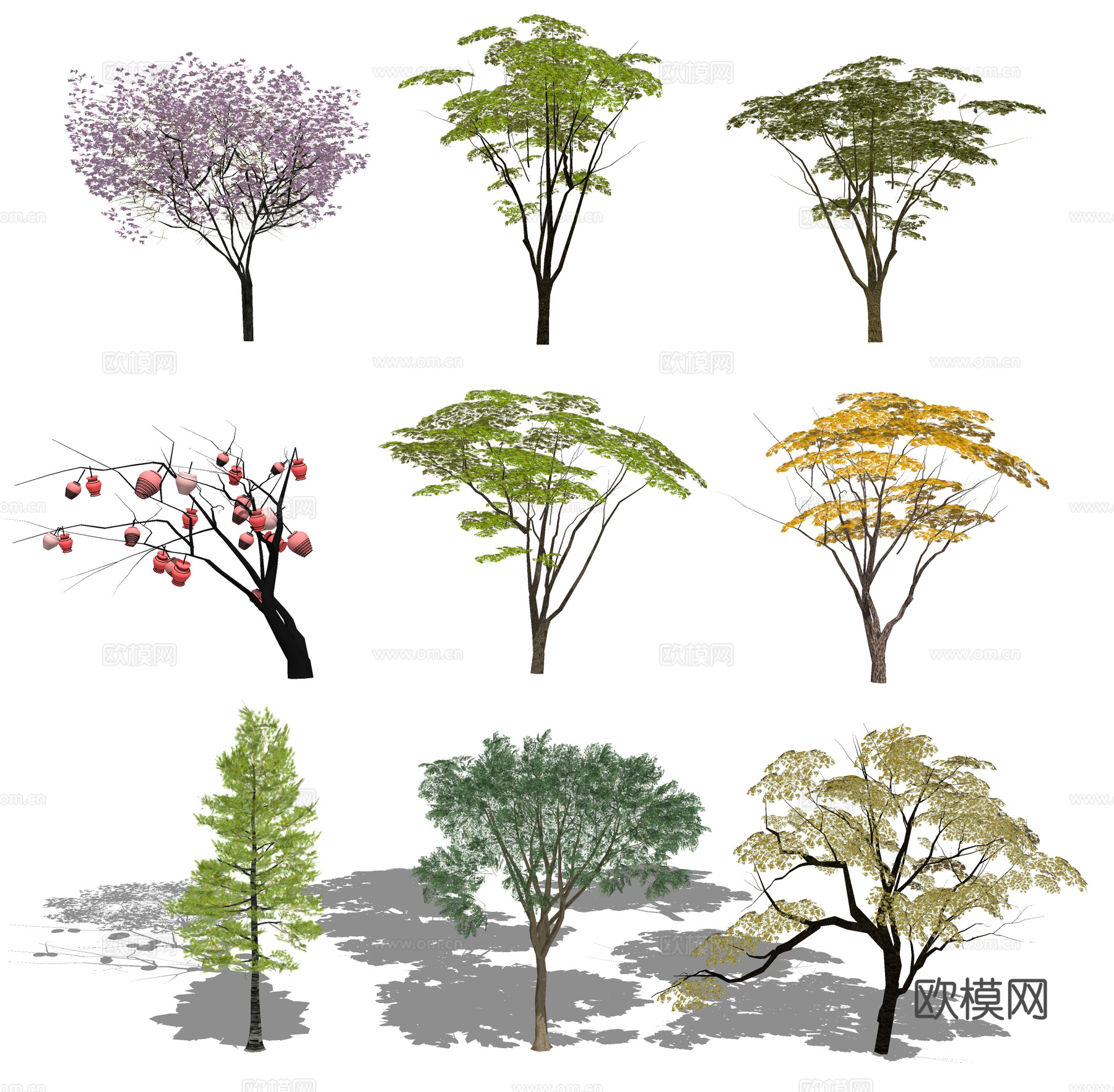 现代低模乔木 3d植物 造型树木 朴树 水杉su模型