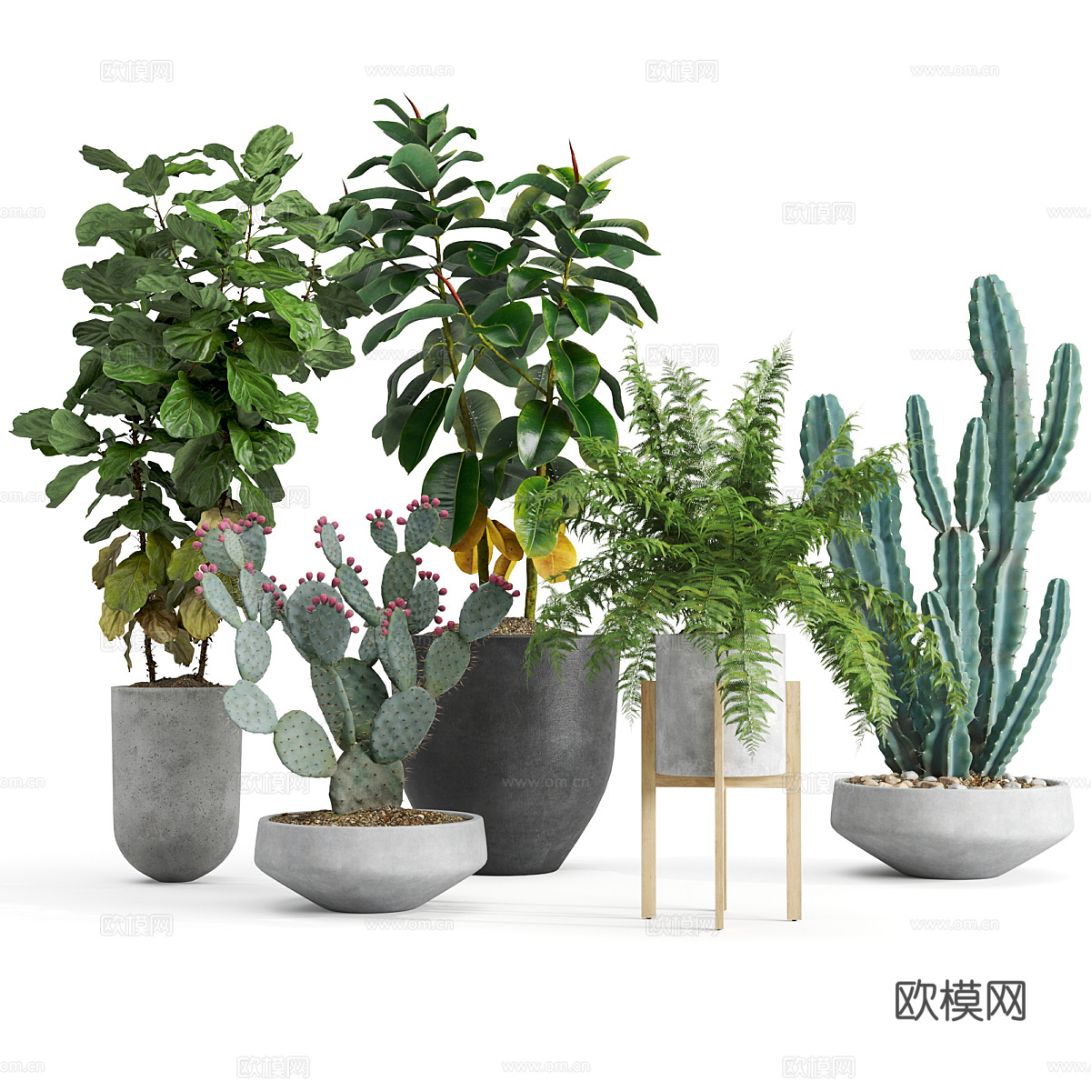 现代绿植盆景盆栽3d模型
