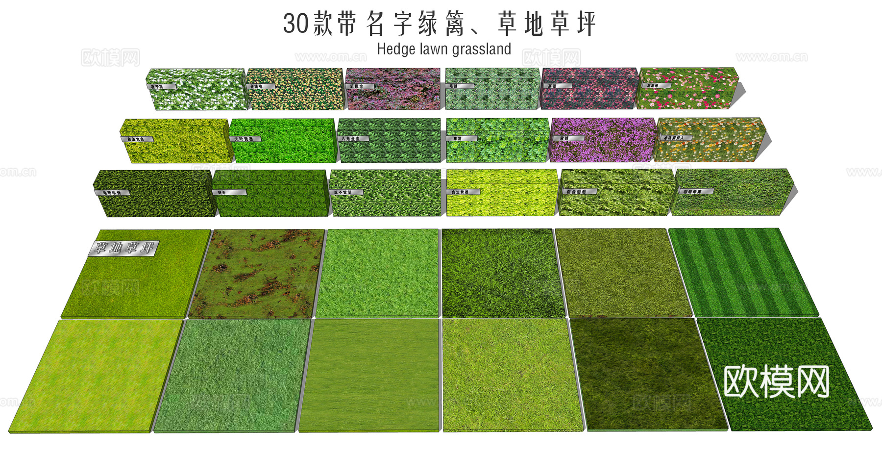 现代草坪铺装 自然草地 苔藓地  绿篱 开花绿篱 大叶黄杨su模型