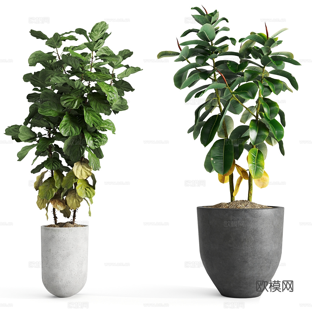 现代绿植盆景盆栽3d模型