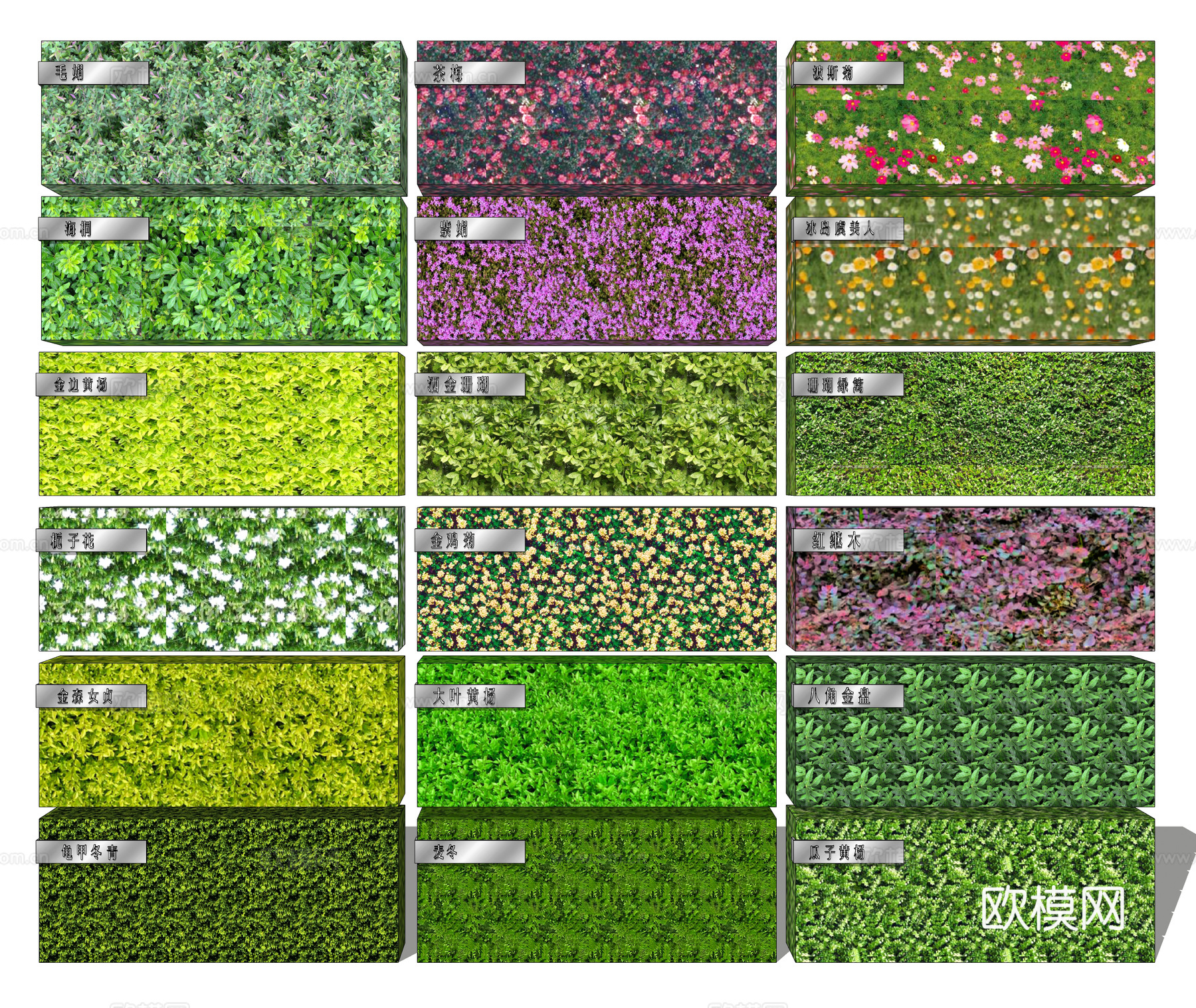 现代草坪铺装 自然草地 苔藓地  绿篱 开花绿篱 大叶黄杨su模型