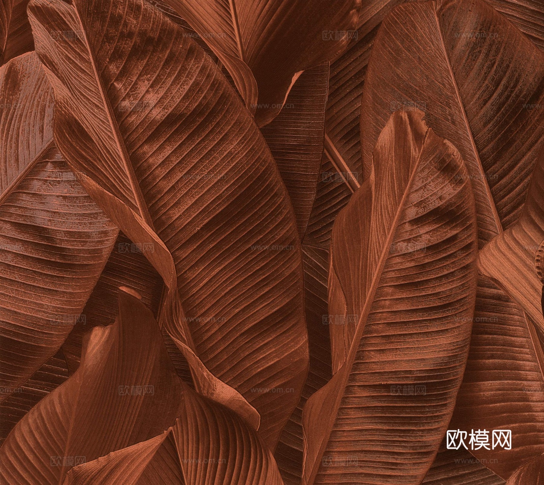 植物墙布 植物壁纸 墙布 壁纸 墙纸