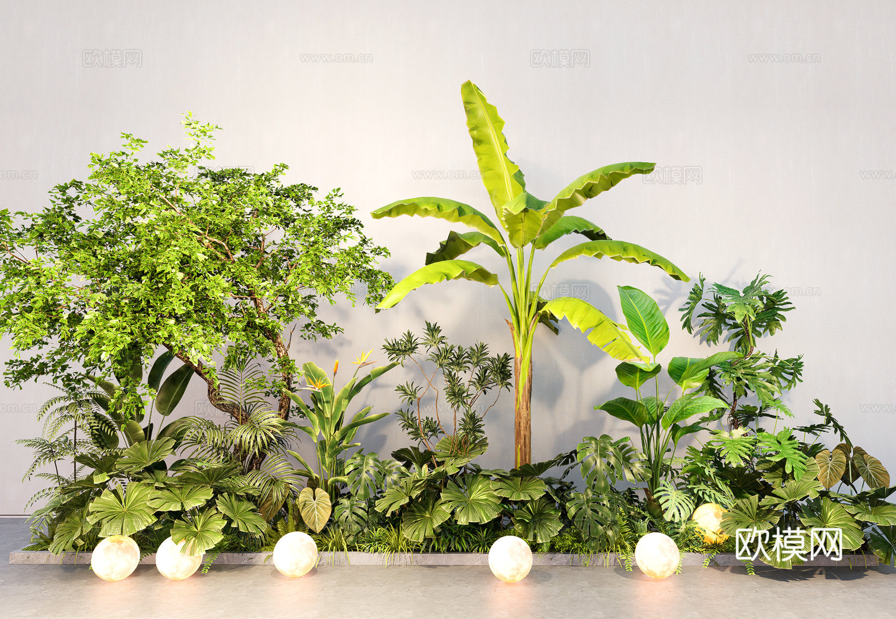 植物组合 春羽 芭蕉树 天堂鸟 绿植花池花箱 绿植堆su模型