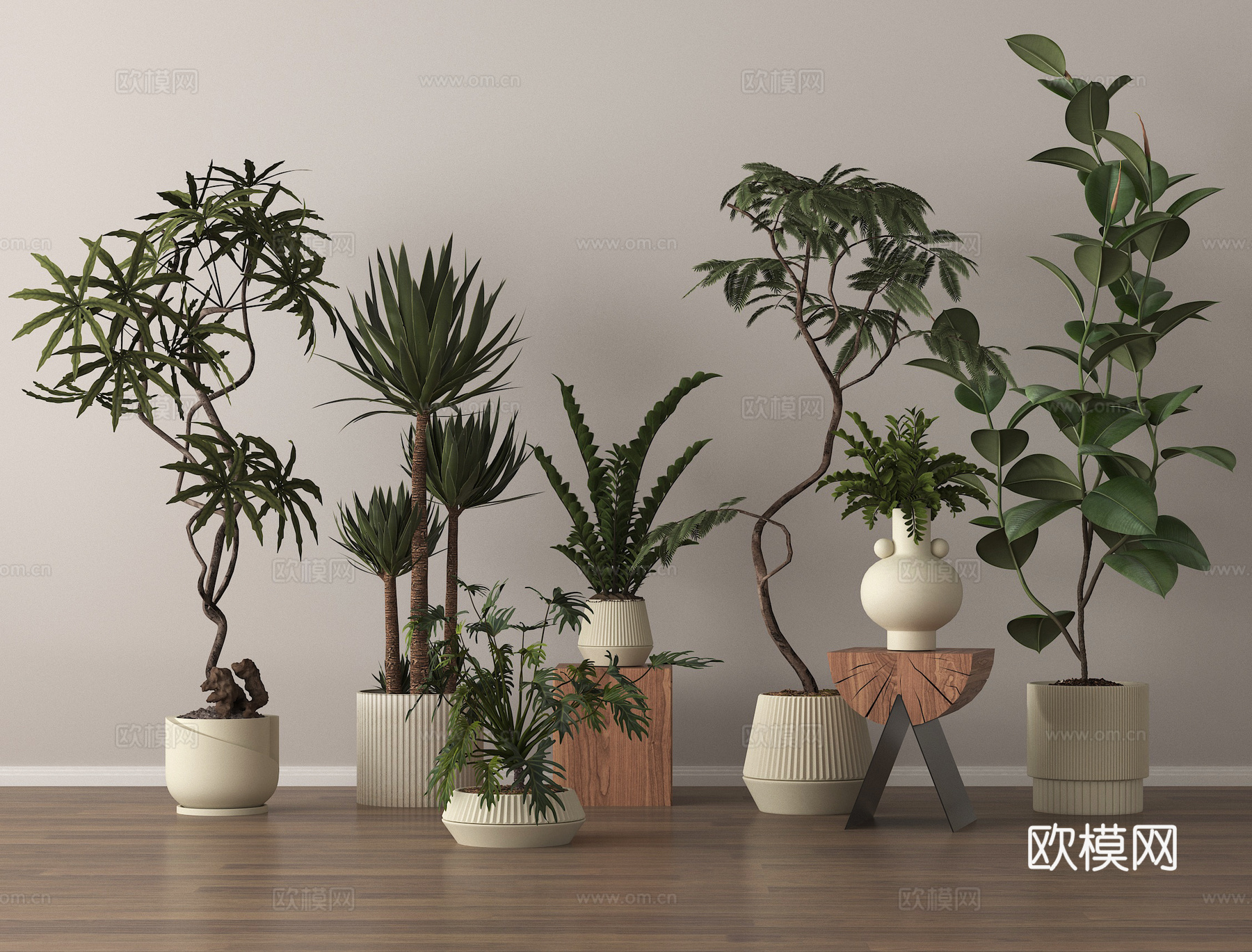 盆栽 盆景 绿植3d模型