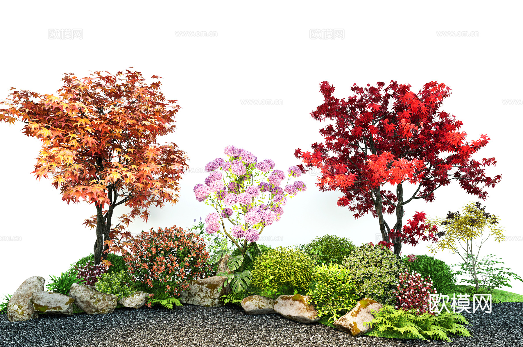 现代植物花境 造型枫树 绿植组合 石头 乔木灌木su模型