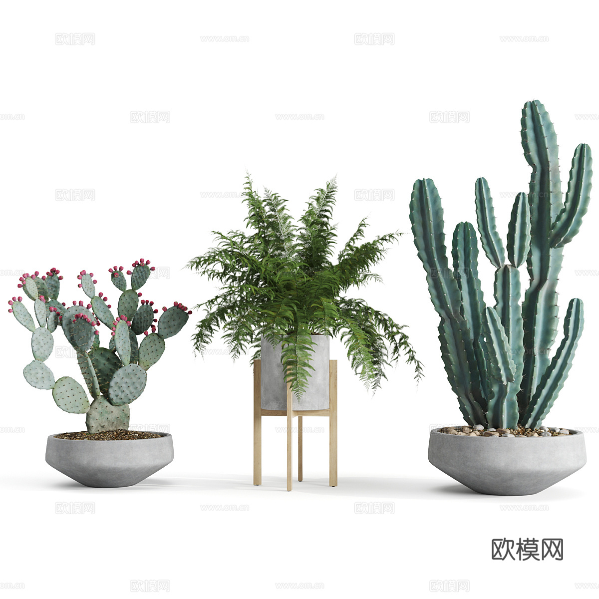现代绿植盆景盆栽3d模型