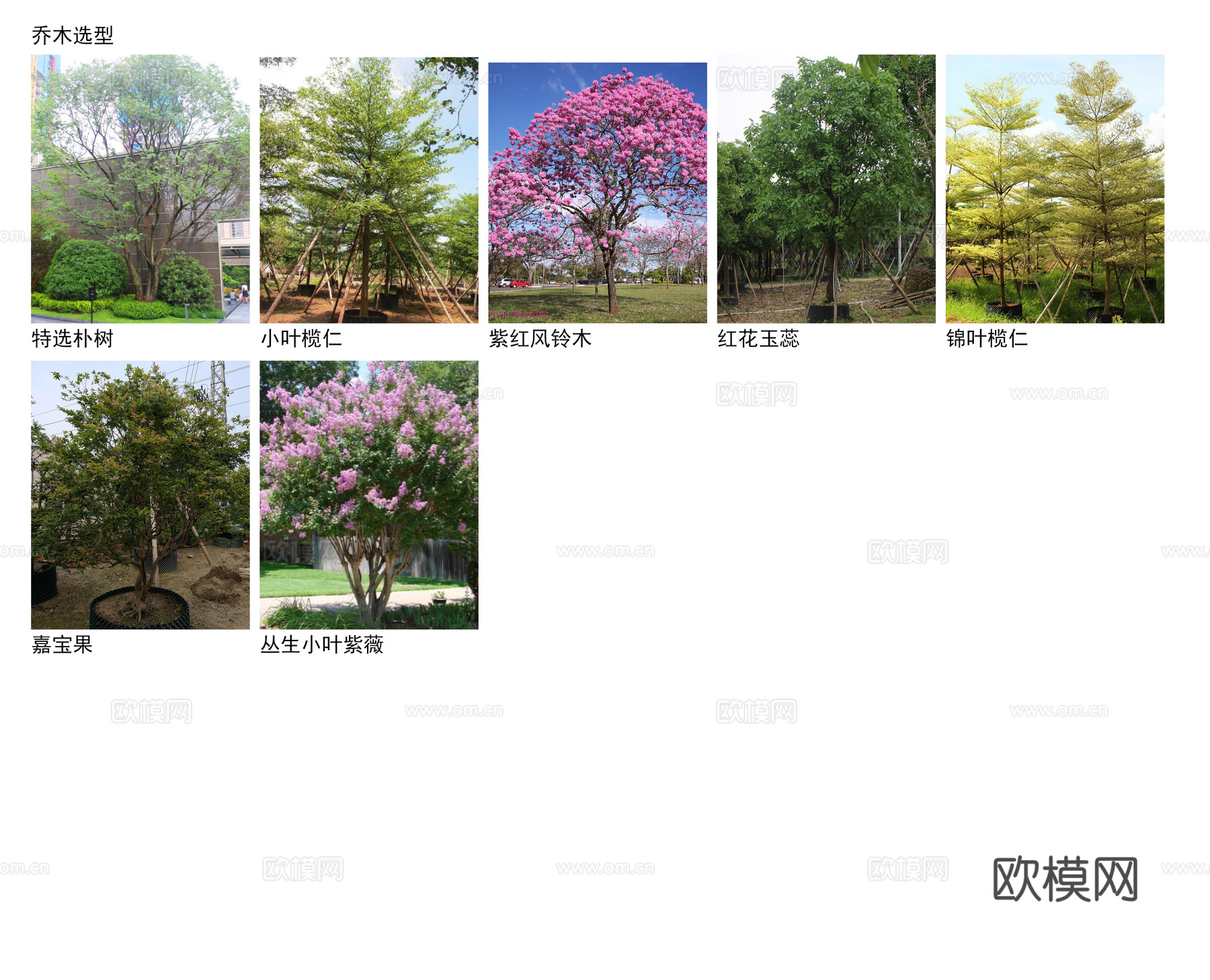 高档办公区景观 植物配置图 施工图 办公工业景观cad施工图