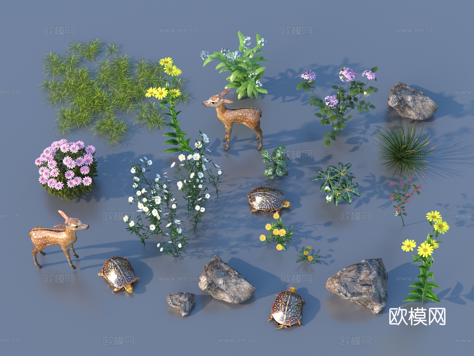 草 室外景观花草3d模型
