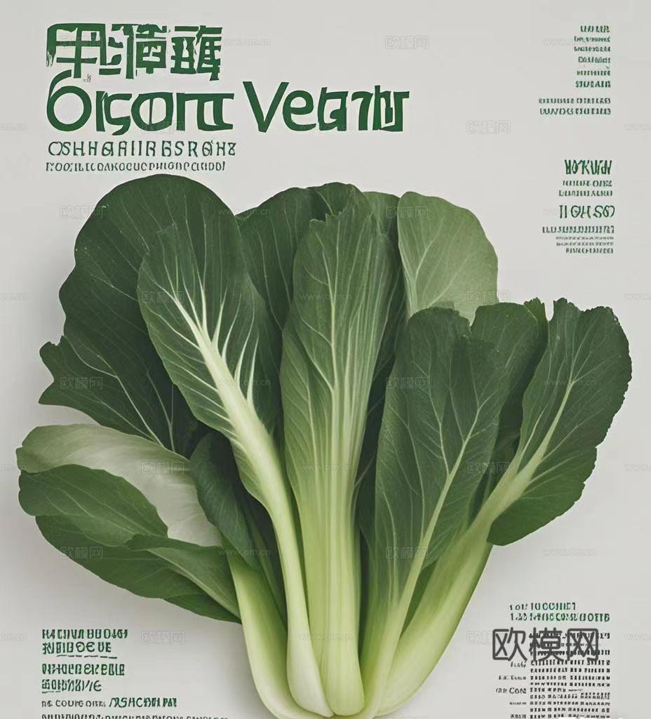 有机素食宣传海报
