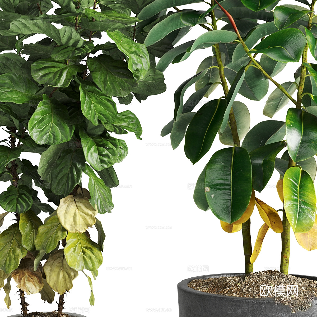 现代绿植盆景盆栽3d模型