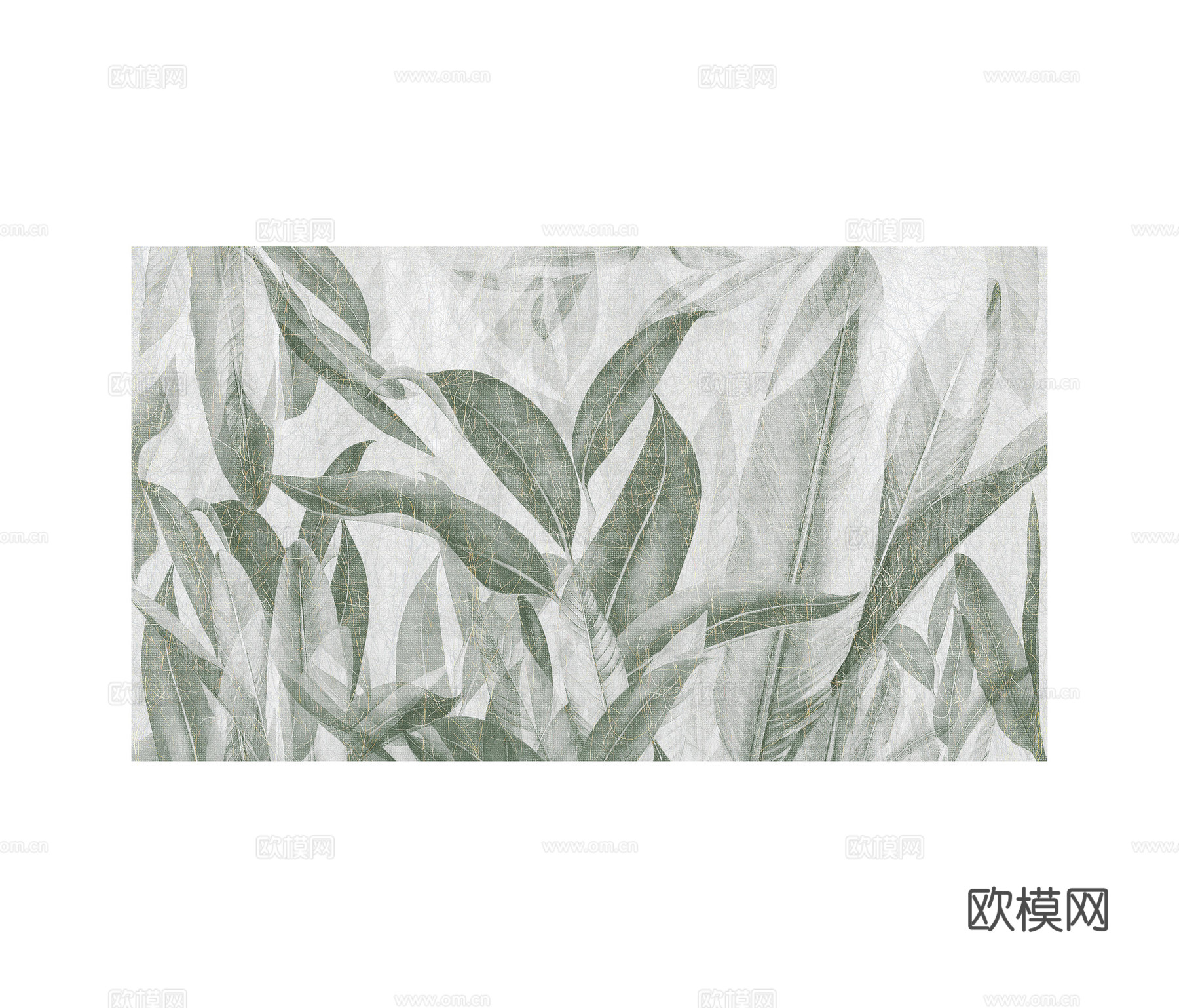 绿色植物壁纸