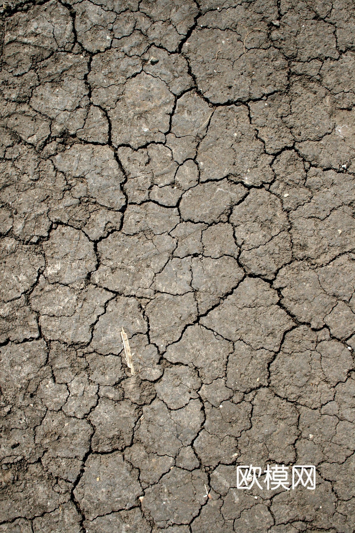 沙土地面 土地 大自然 自然纹理