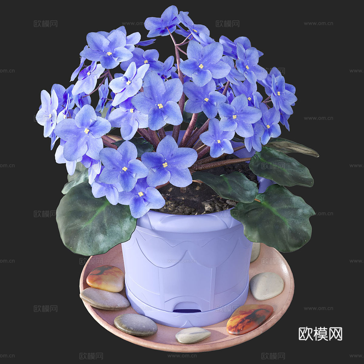 花盆 紫罗兰3d模型