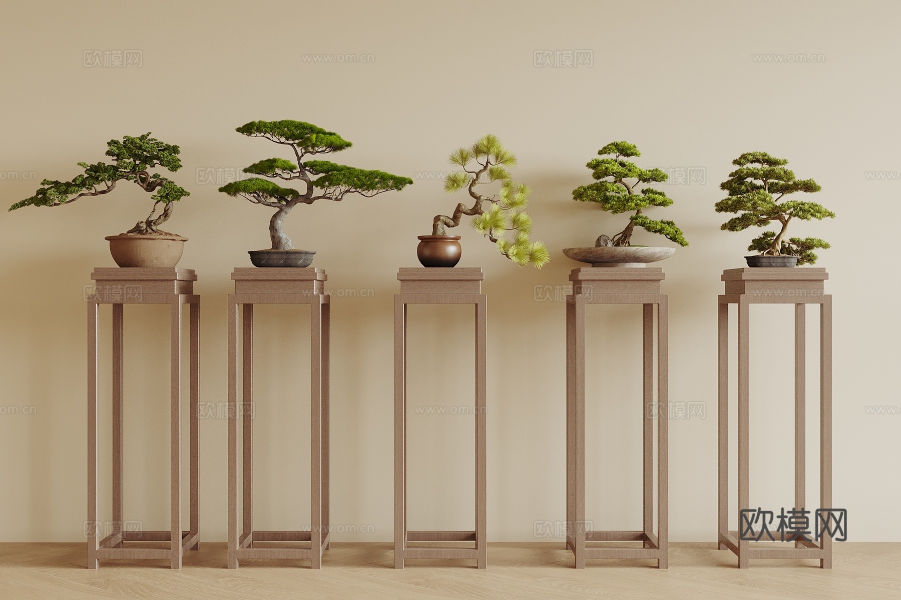 新中式盆景 迎客松 植物 松树3d模型