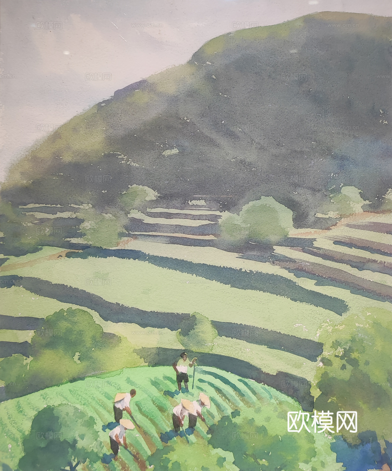 水彩梯田