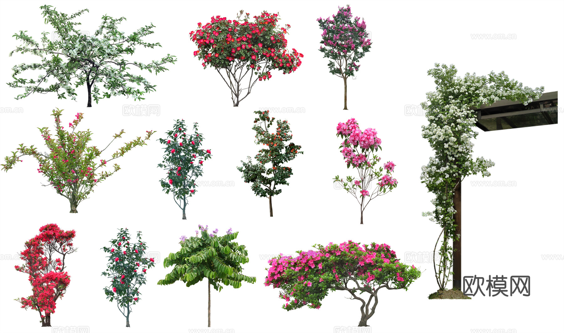 PSD免扣植物花草组合
