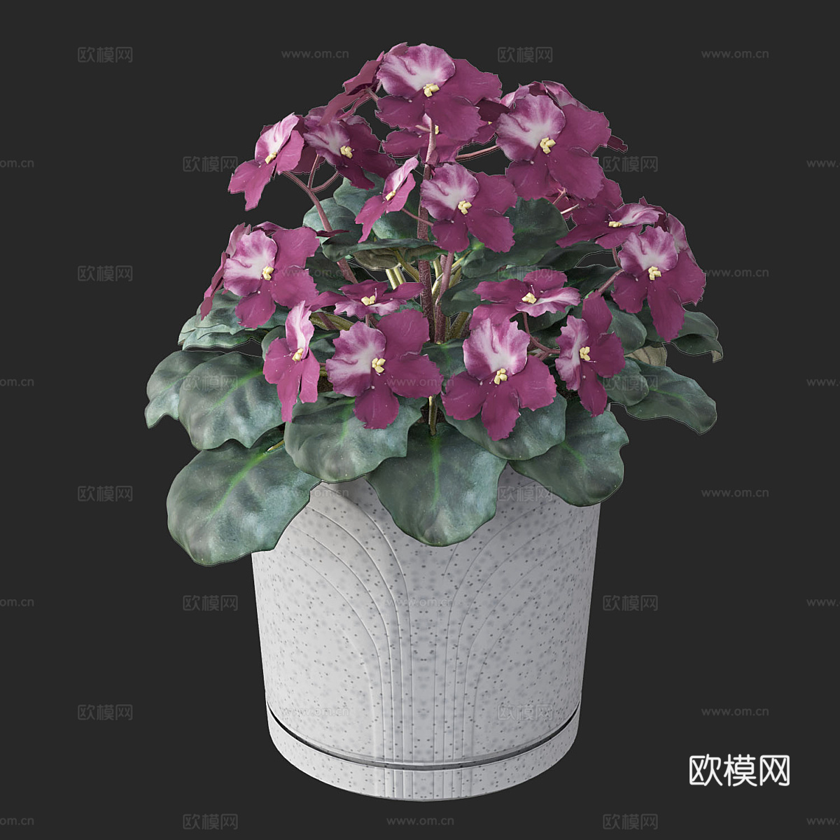 花盆 紫罗兰3d模型