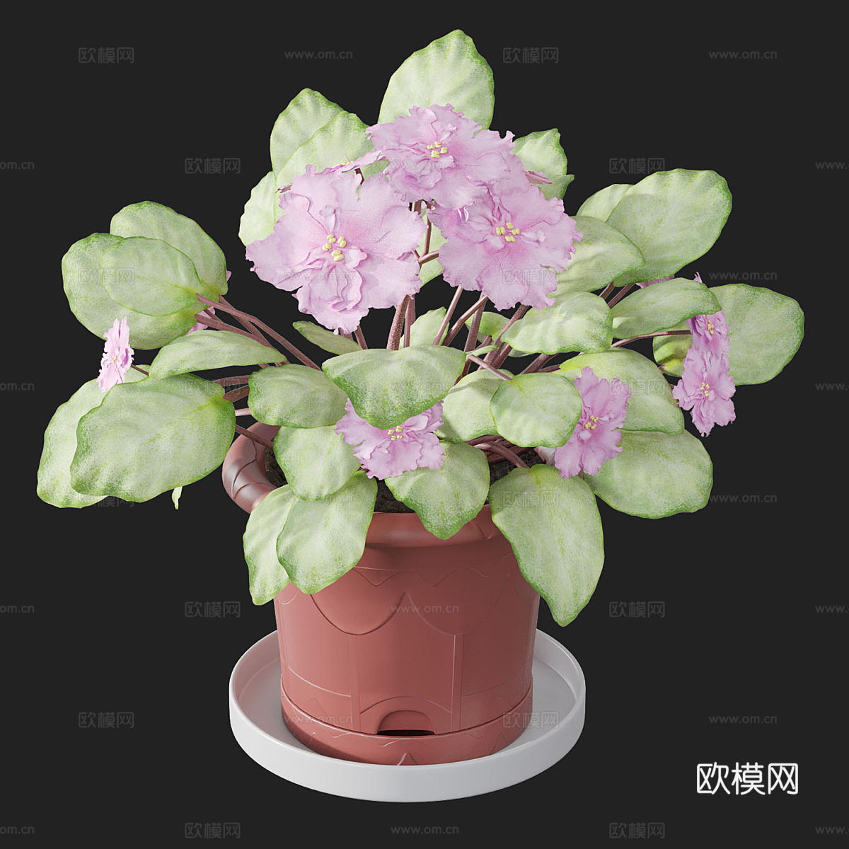 花盆 紫罗兰3d模型