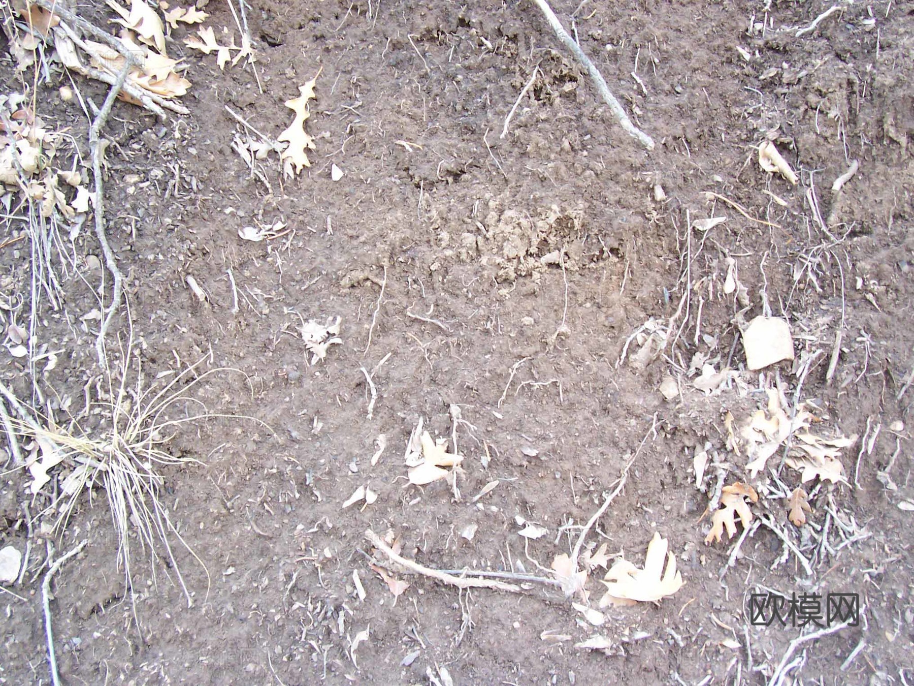 沙土地面 沥青路面 碎石 鹅卵石 广场地面下载