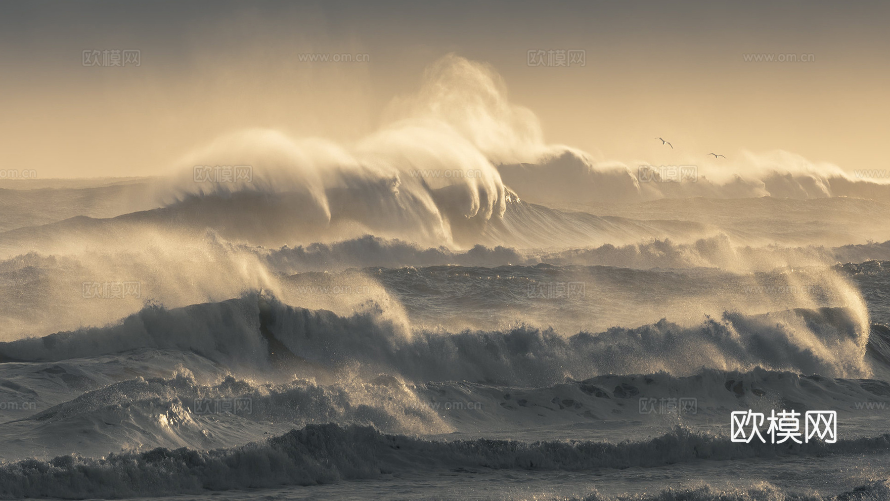 海浪风景