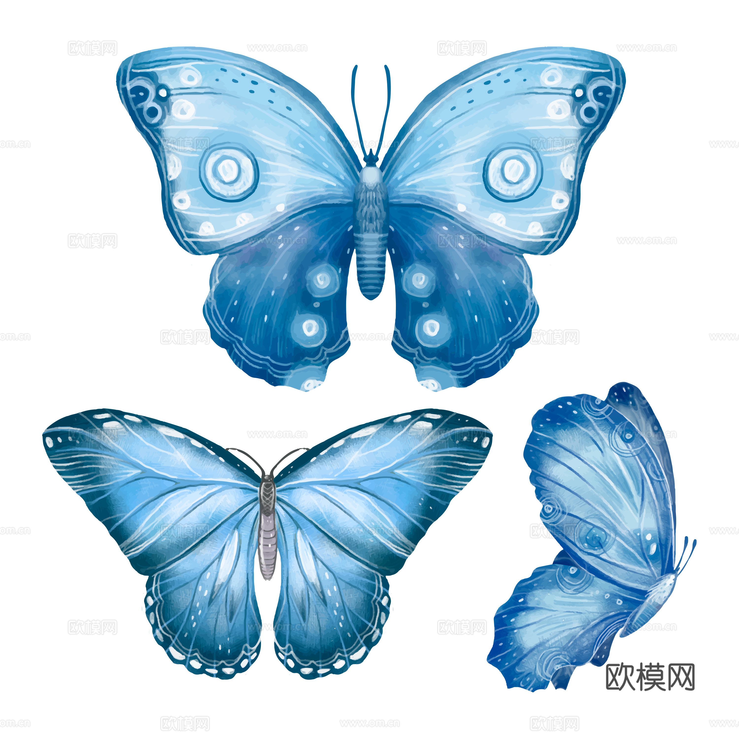 免抠  蓝色蝴蝶 动态