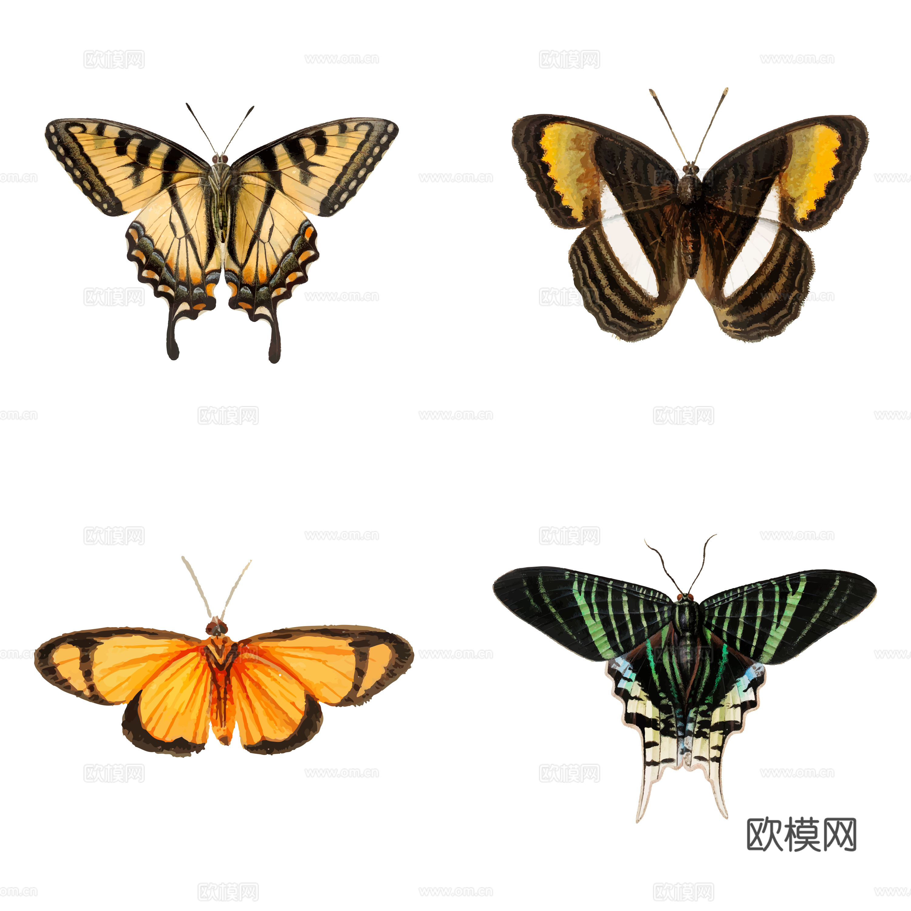 免抠 黑 绿 黄色 蝴蝶  展开