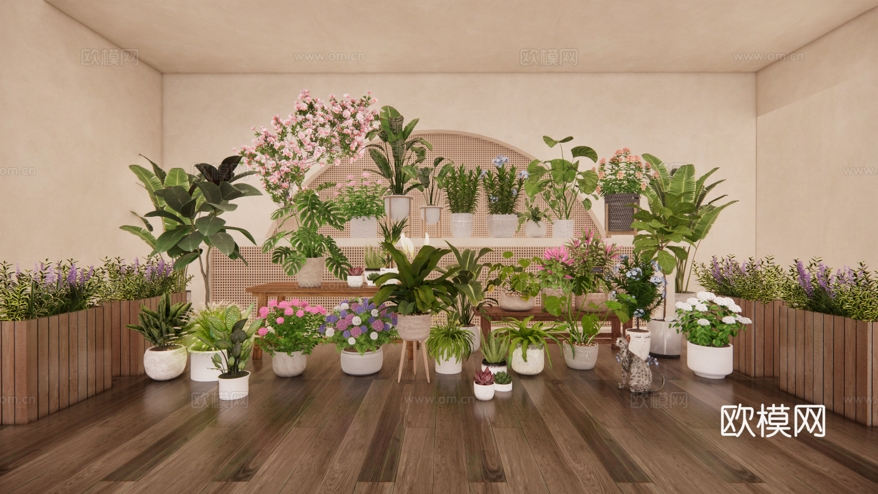 植物组合 盆栽组合 树池植物组合免费su模型