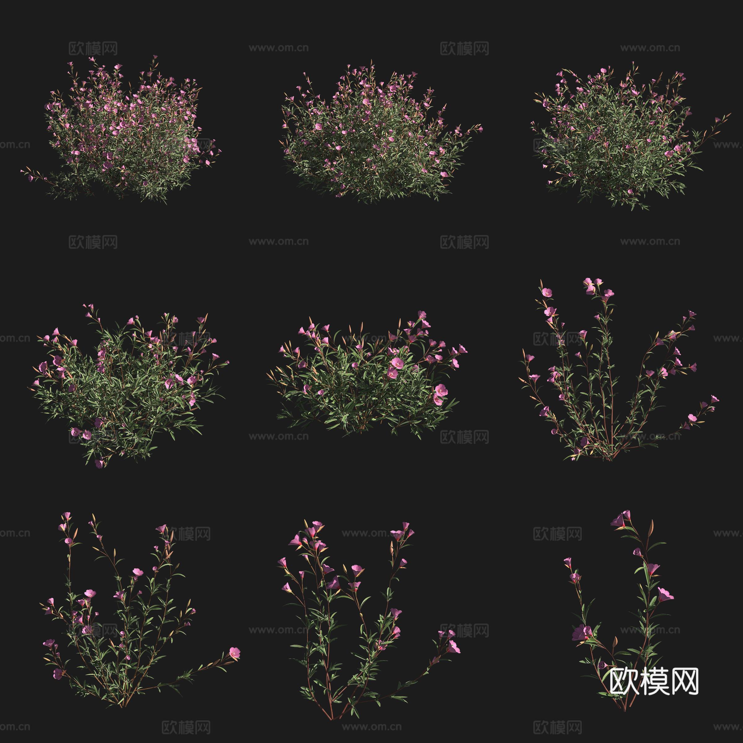 告别春灌木花草草场植物3d模型