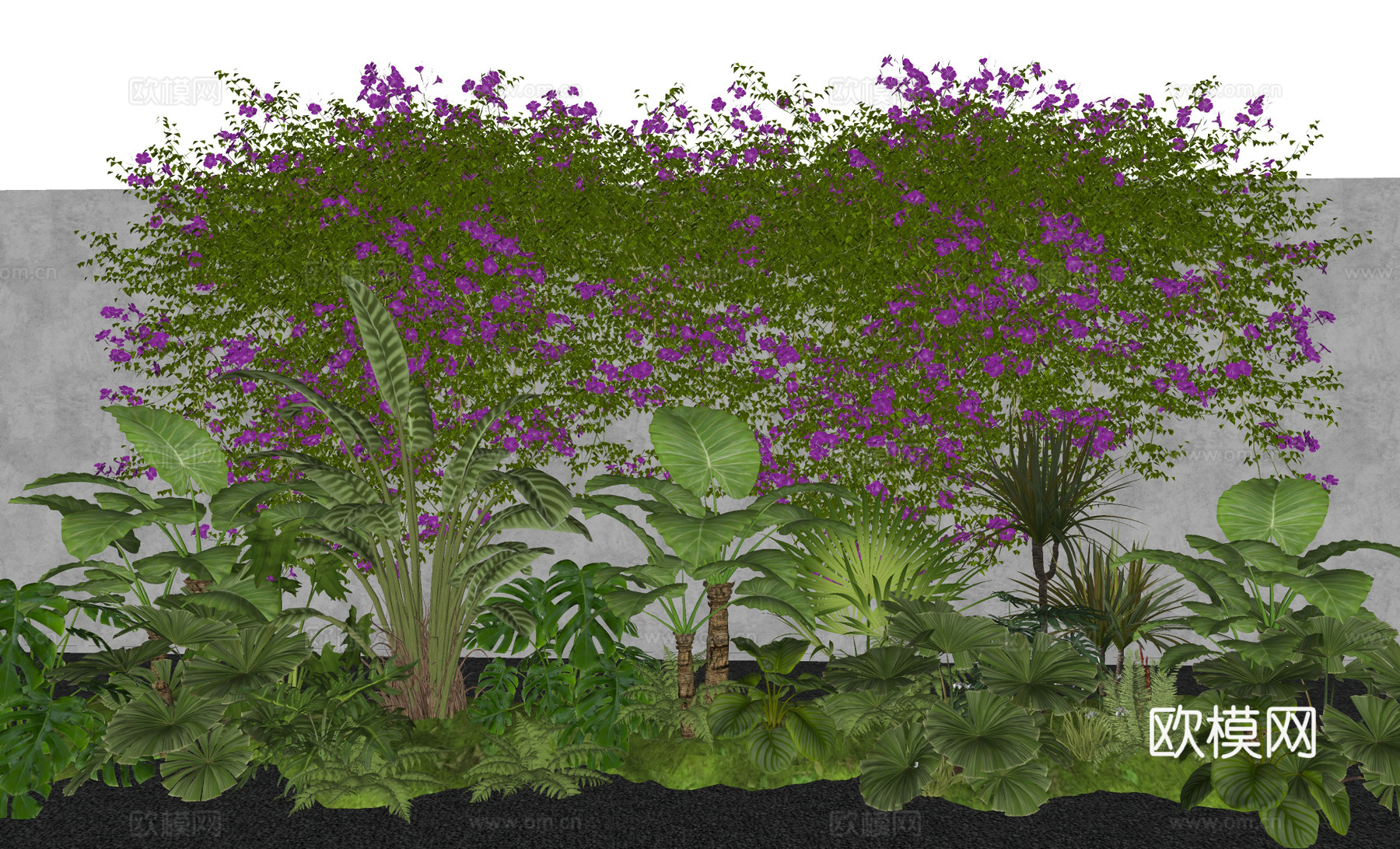 现代藤蔓爬藤  凌霄花牵牛花 绿植墙  植物花镜su模型