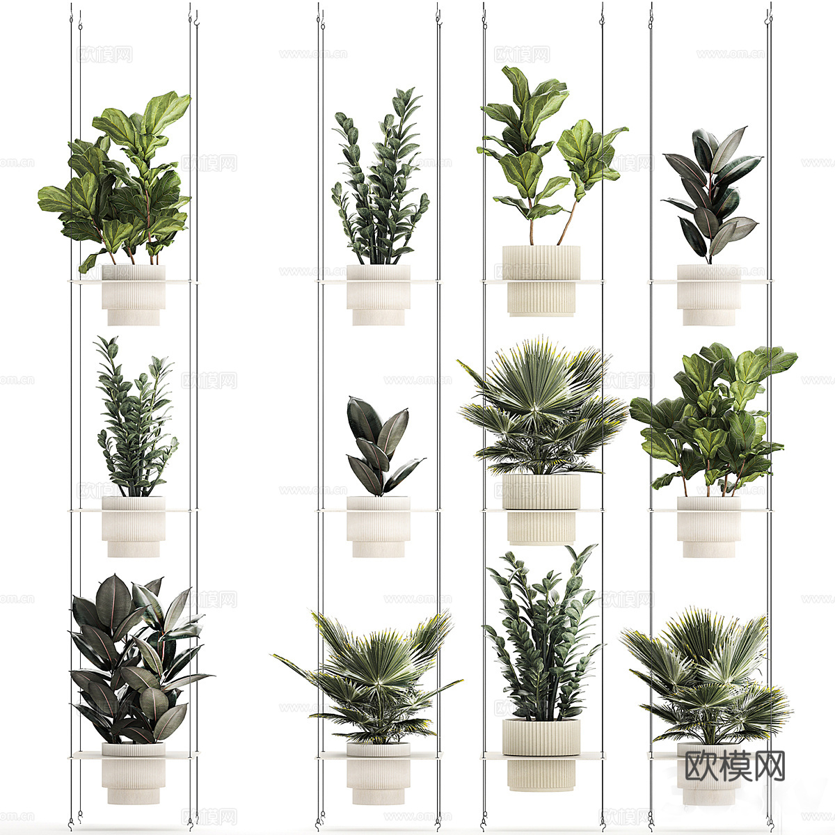 植物收藏 14293d模型