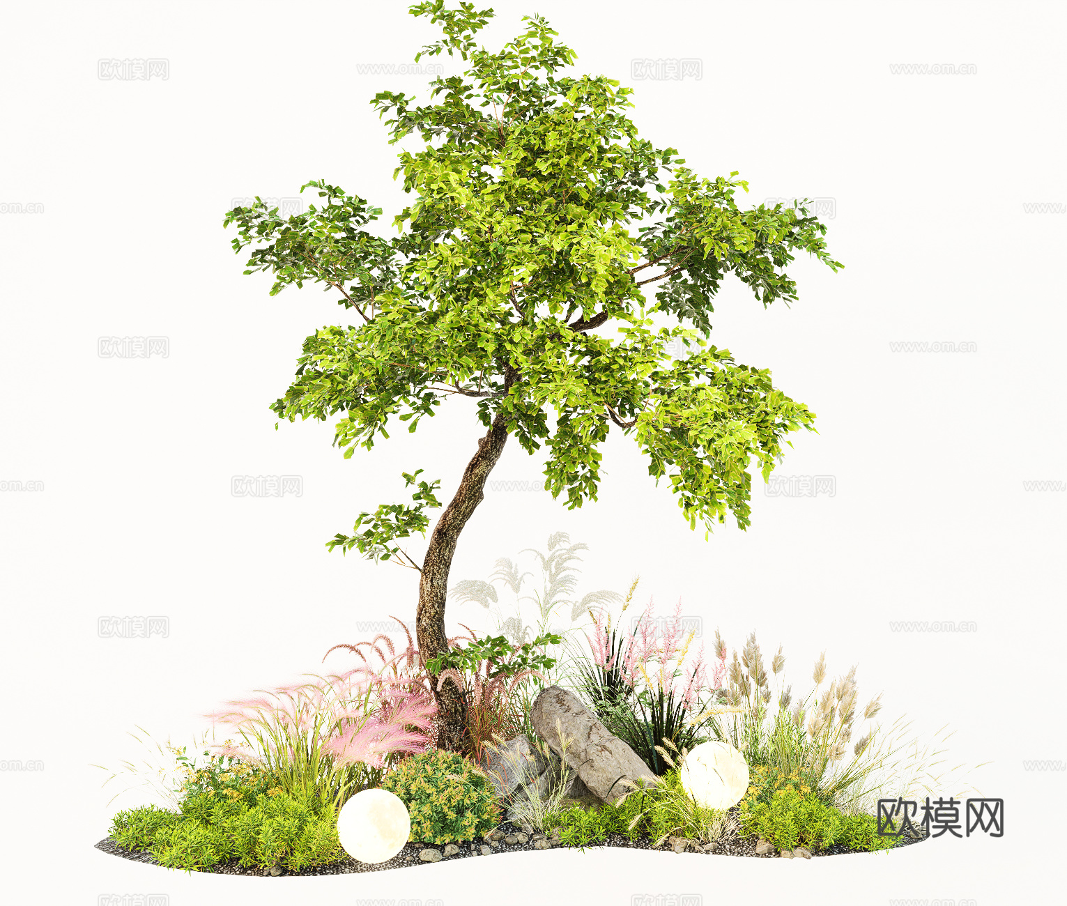 现代植物花草 狼尾草 造型树 庭院花草  景观石头su模型