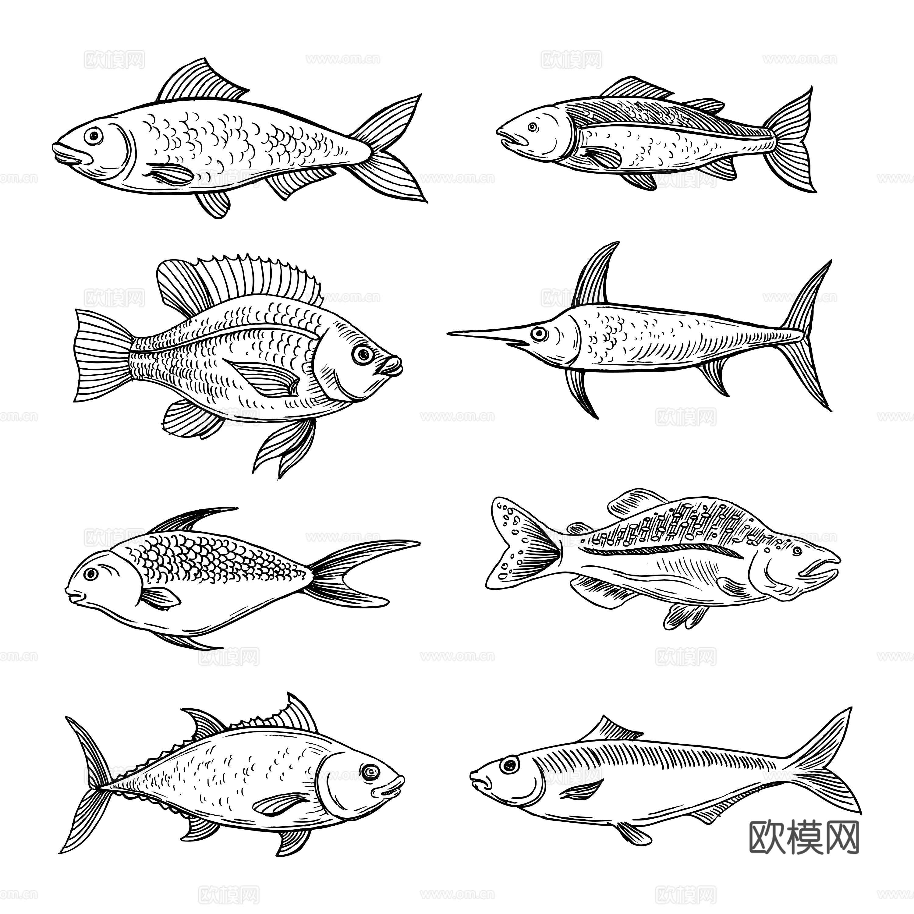 免抠 鱼线稿 线条鱼  海鲜