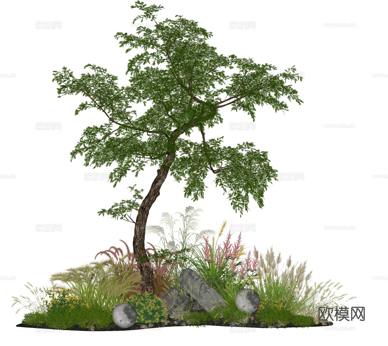 现代植物花草 狼尾草 造型树 庭院花草  景观石头su模型