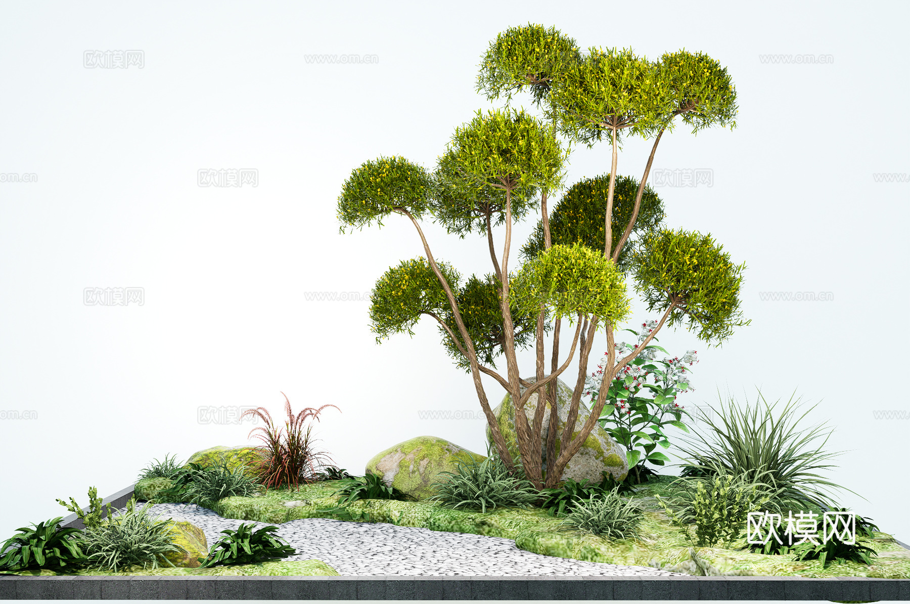 园林景观植物 多头造型树  庭院树  石头小品su模型