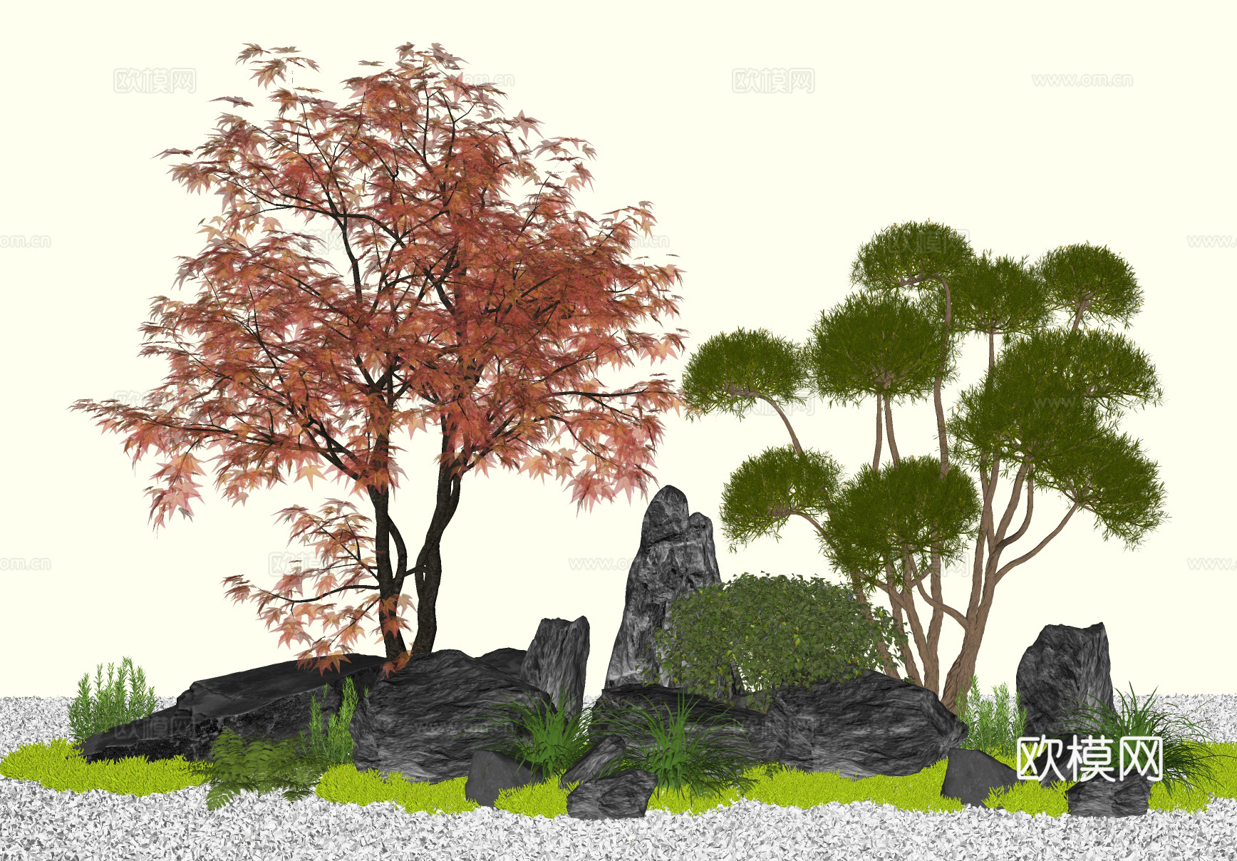 庭院植物组合  植物造景 多头造型树 枫树 创意石块石头su模型