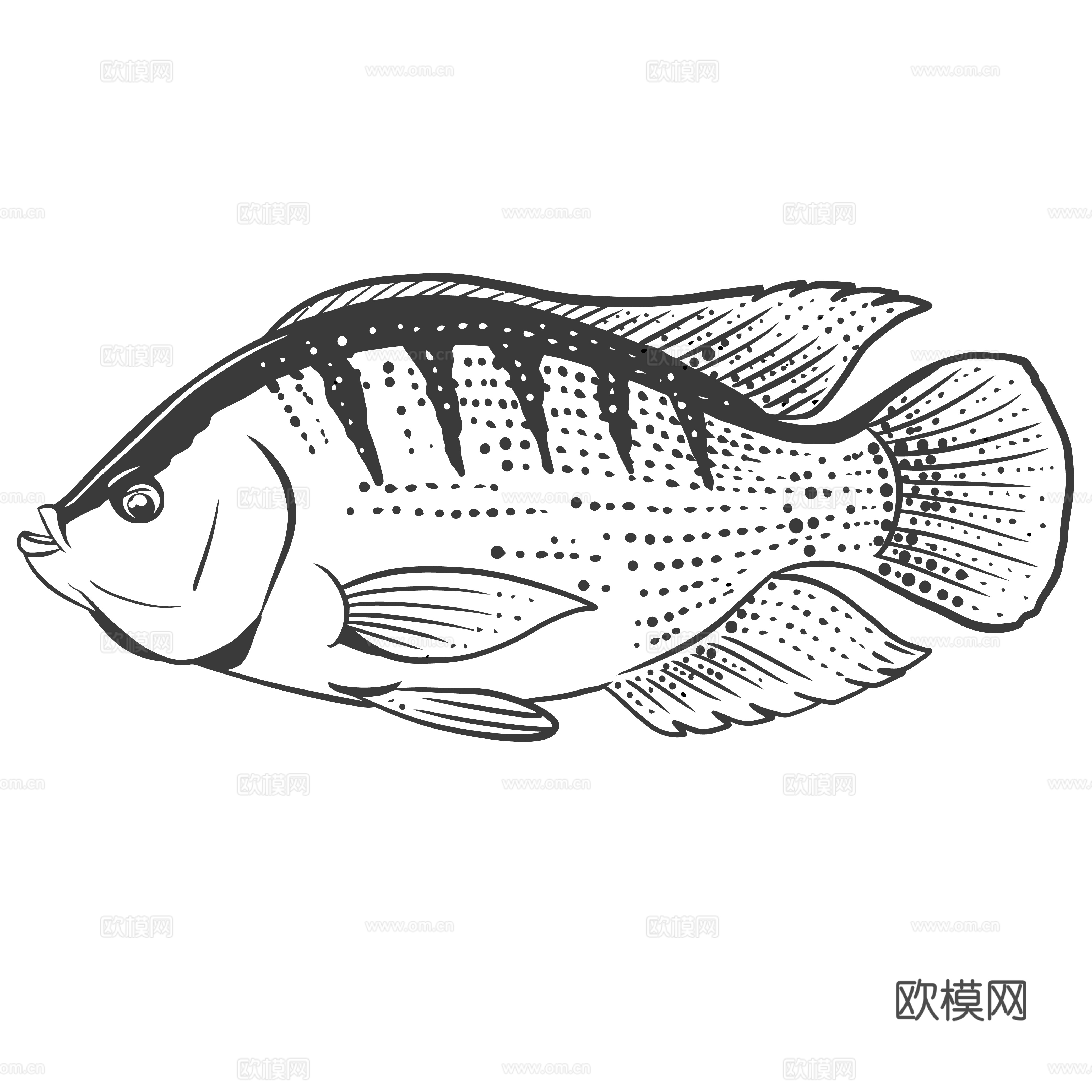 免抠鱼 鱼线稿 手绘鱼 线描鱼 轮廓鱼