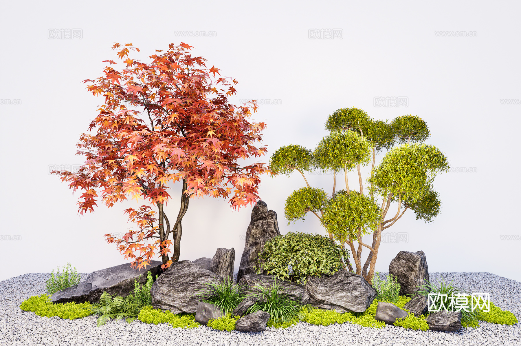 庭院植物组合  植物造景 多头造型树 枫树 创意石块石头su模型