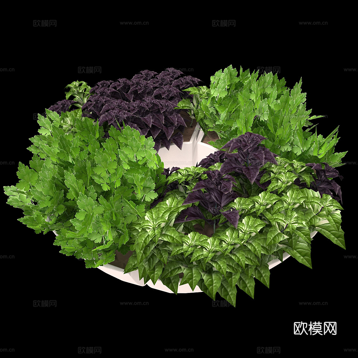 绿植花盆3d模型
