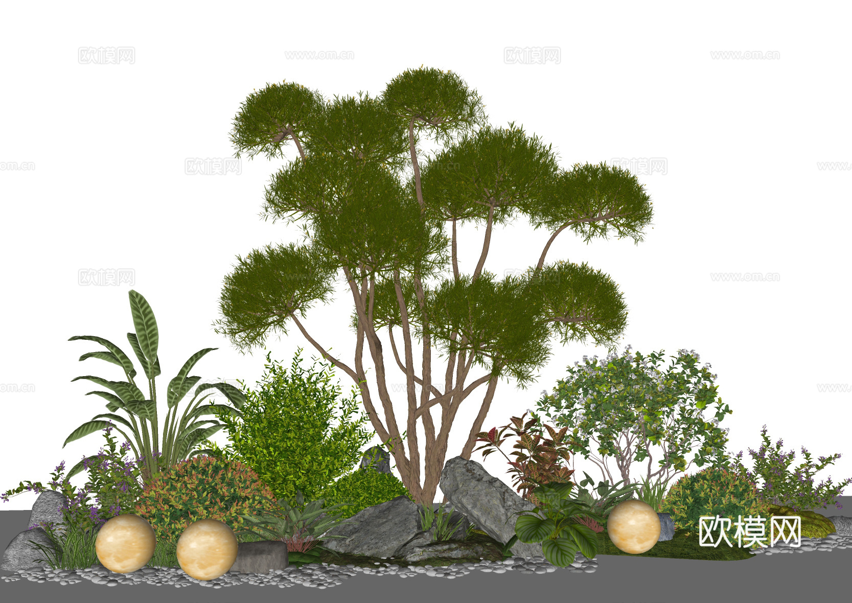 现代庭院植物组合 造型景观树 石头 灌木绿植su模型