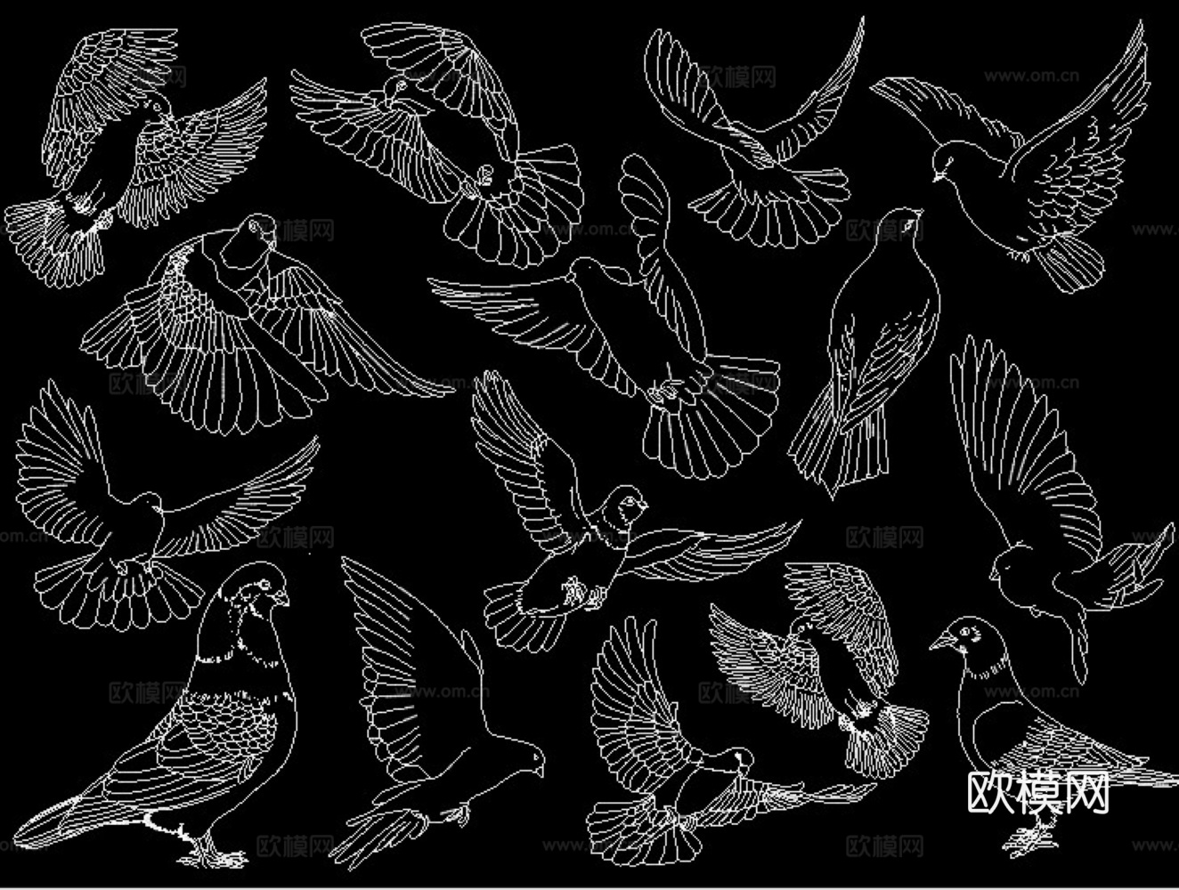 白鸽图块cad施工图下载（渲染图3）