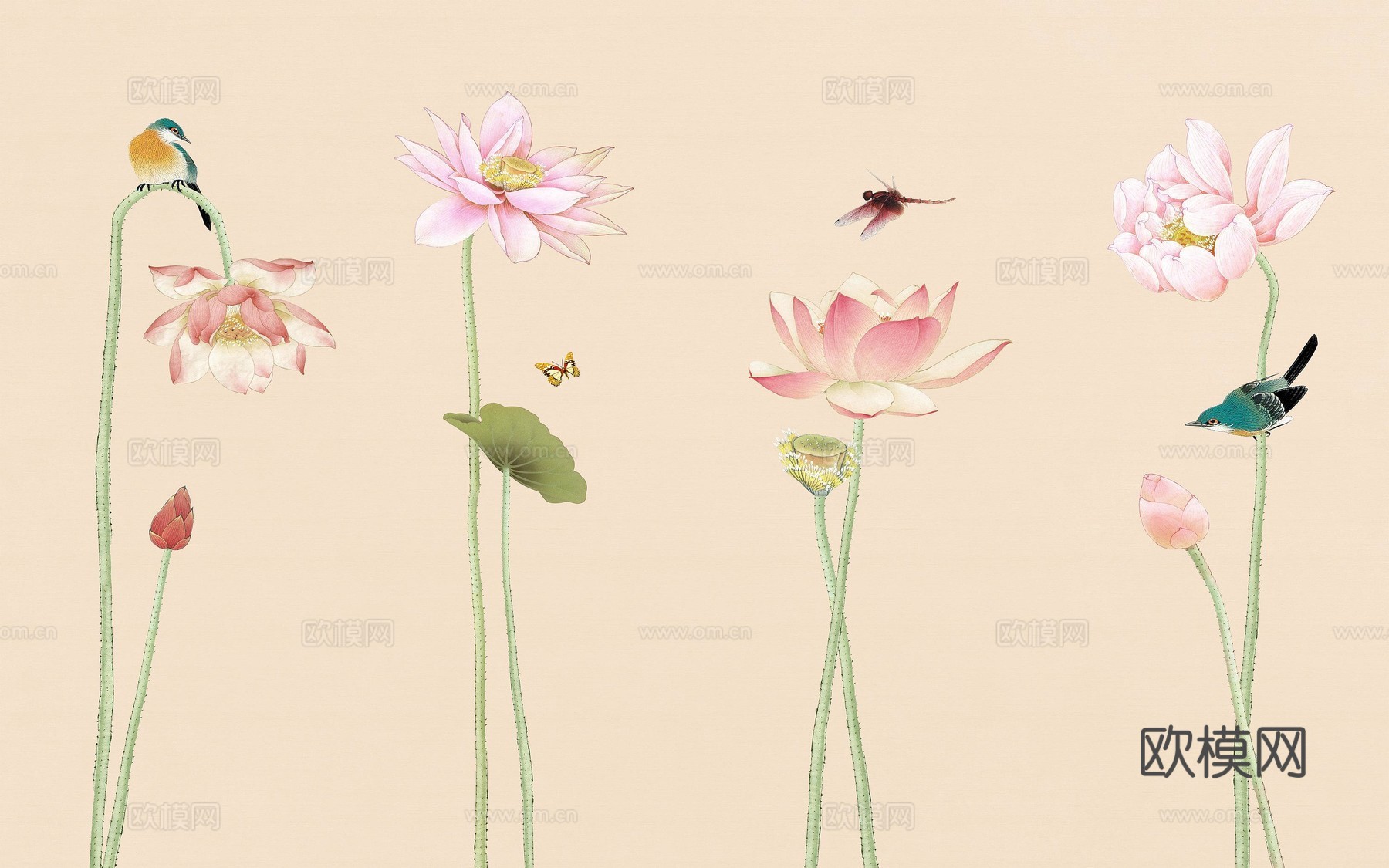 新中式花鸟动物画