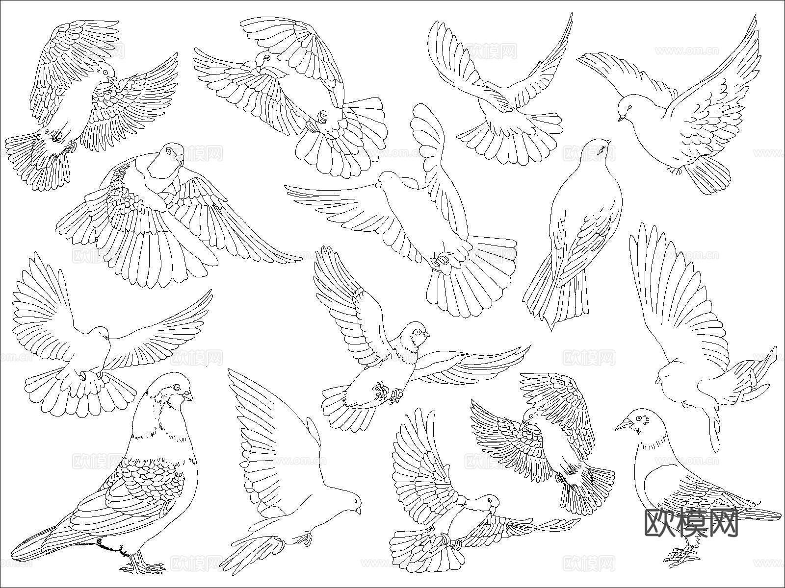 白鸽图块cad施工图下载（渲染图2）