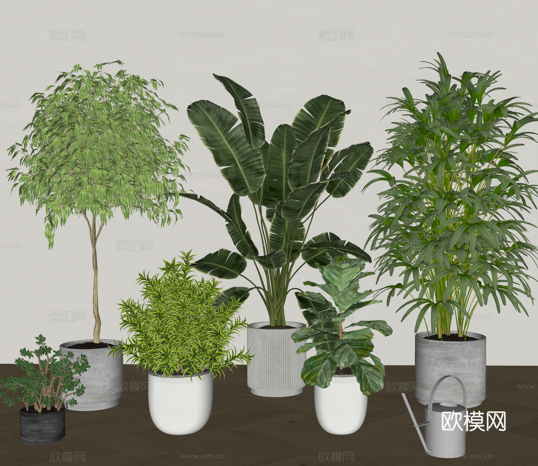 现代盆栽植物 落地植物 绿植组合su模型