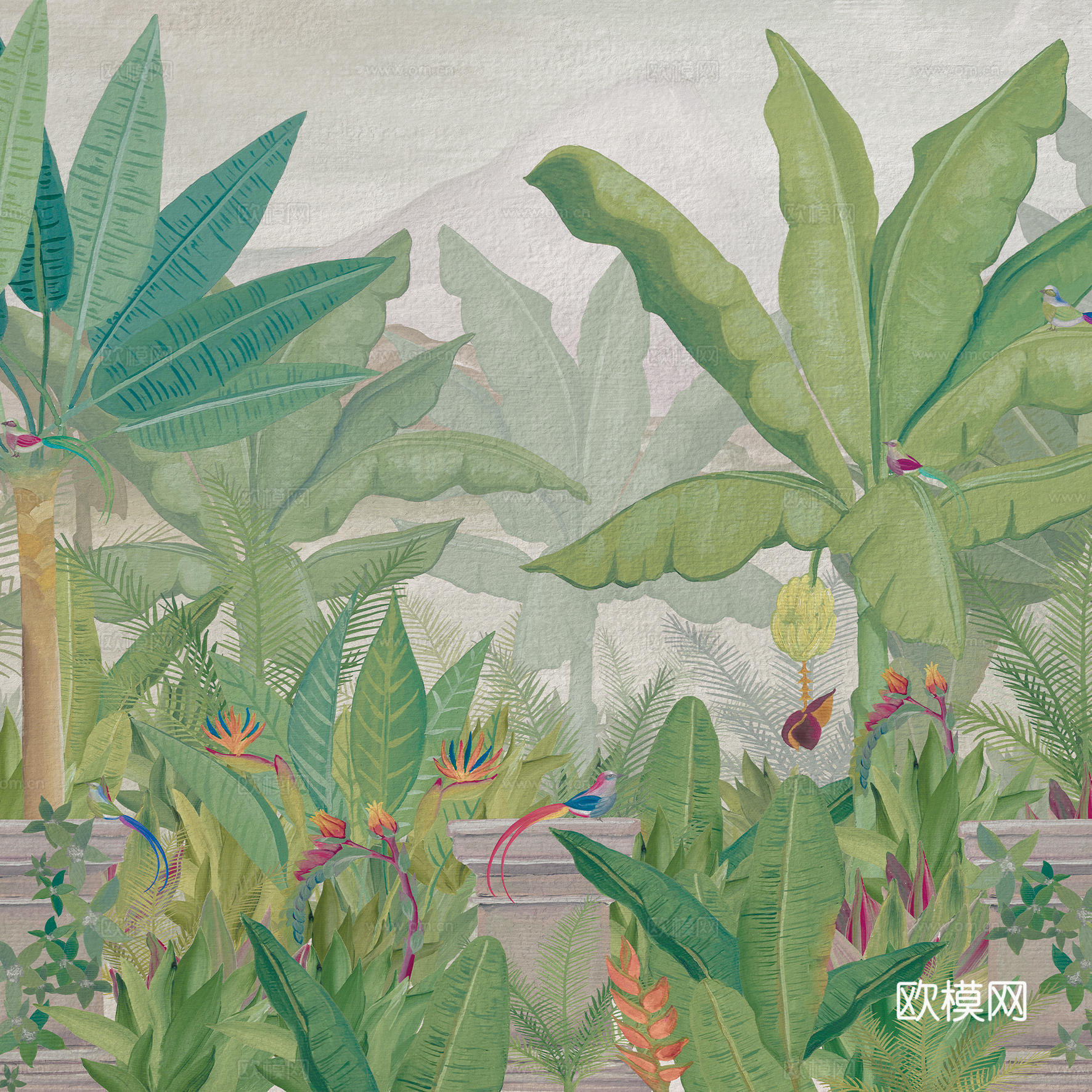 动植物壁纸