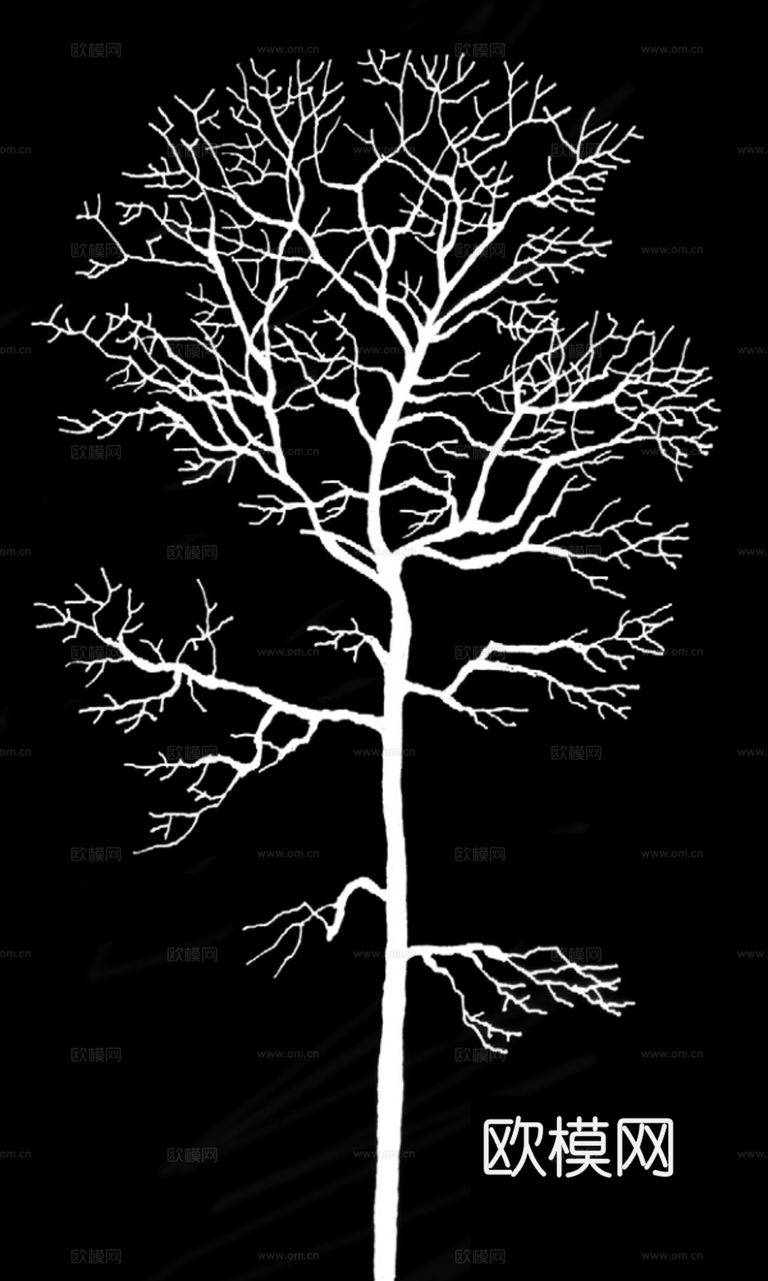 现代黑白 装饰花纹 黑白贴图 漂亮素材黑白下载