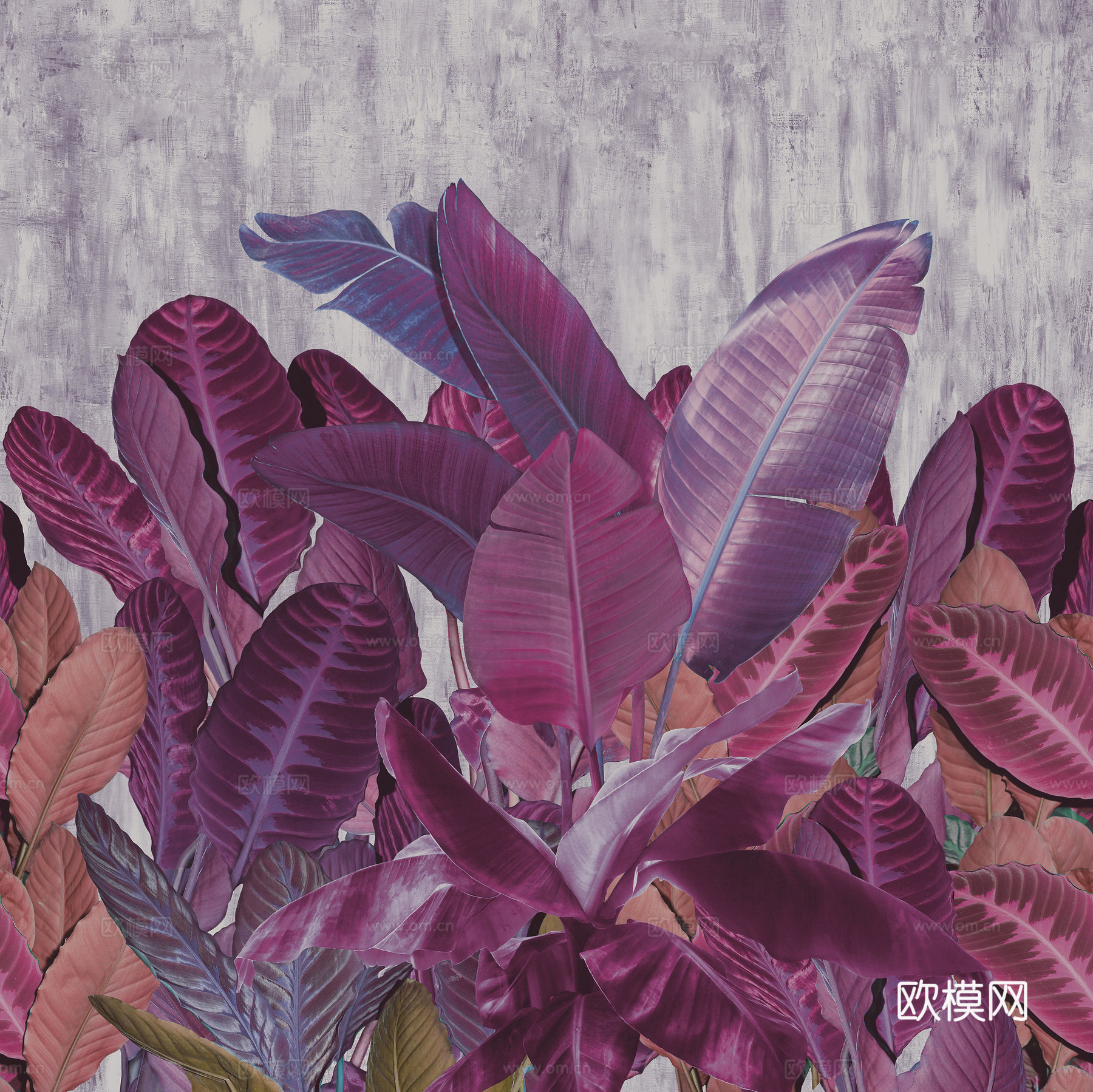 粉色植物叶子壁纸
