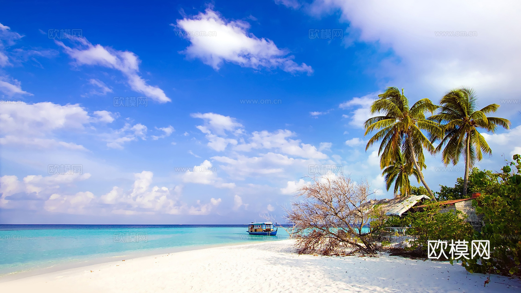 漂亮外景 外景素材 小区外景 自然外景 外景窗景 都市风情下载