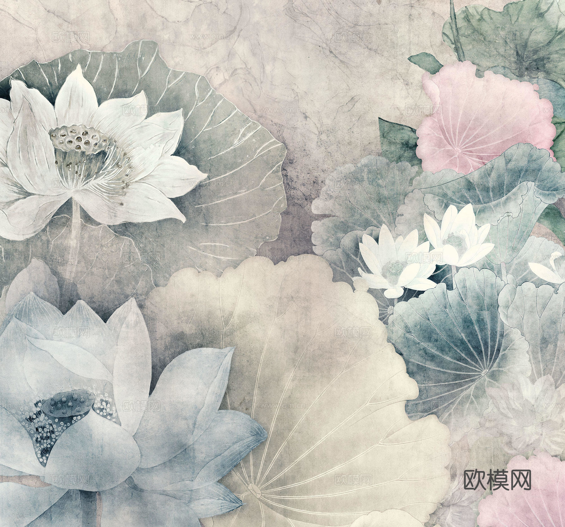 荷花壁纸