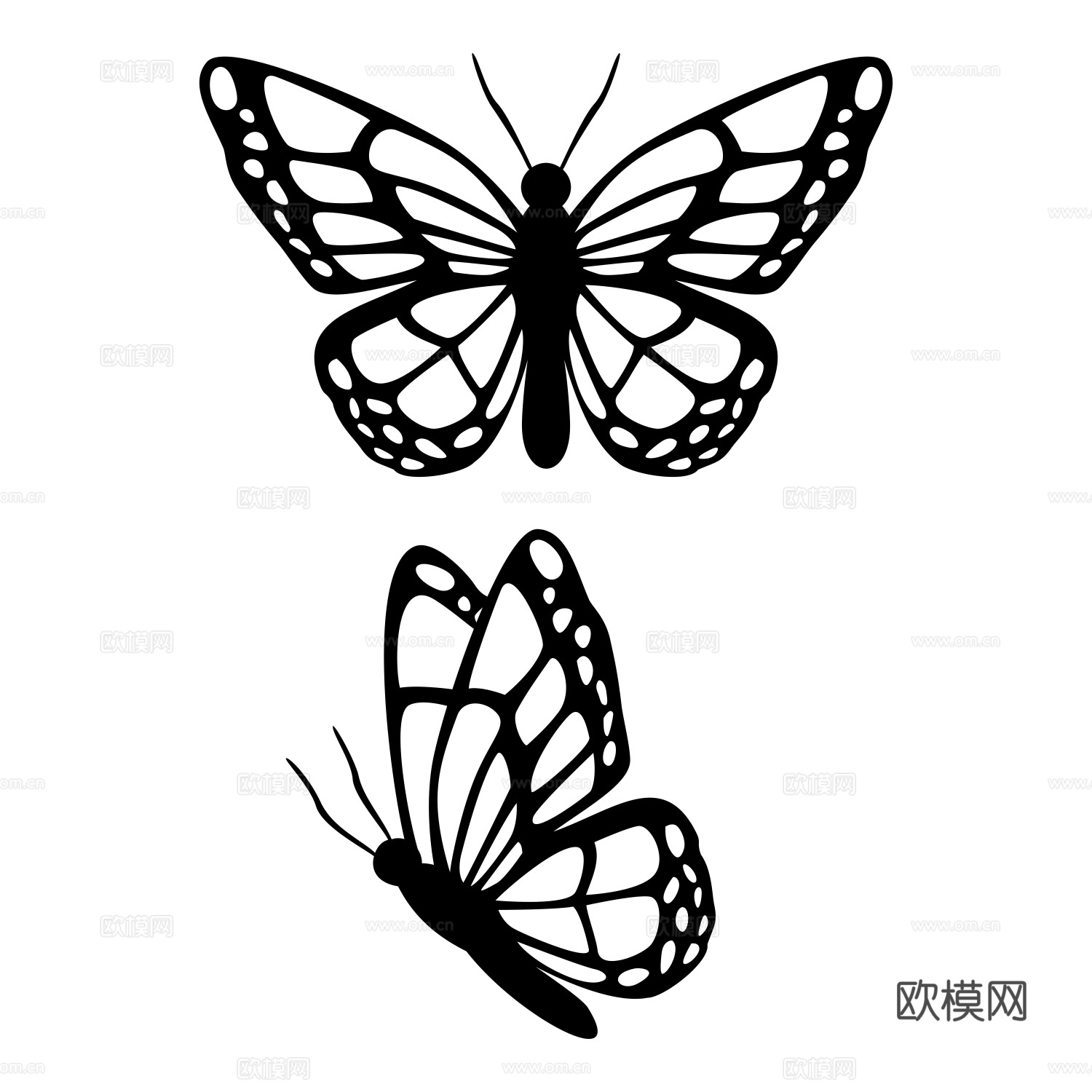 免抠蝴蝶 正面 侧面 黑白