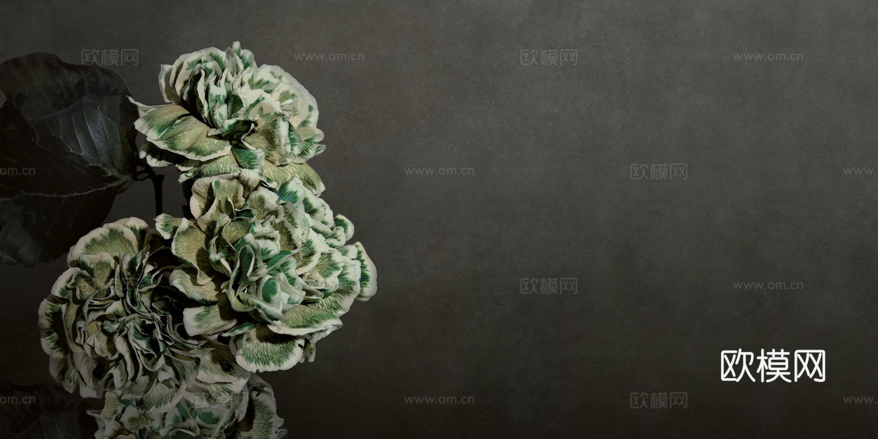 绿色花卉壁纸